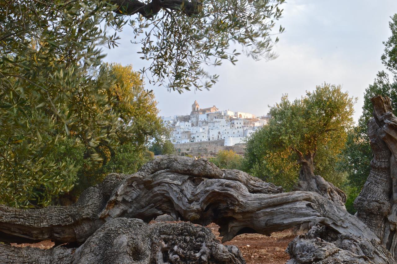 Casa Campari Appartement Ostuni Buitenkant foto